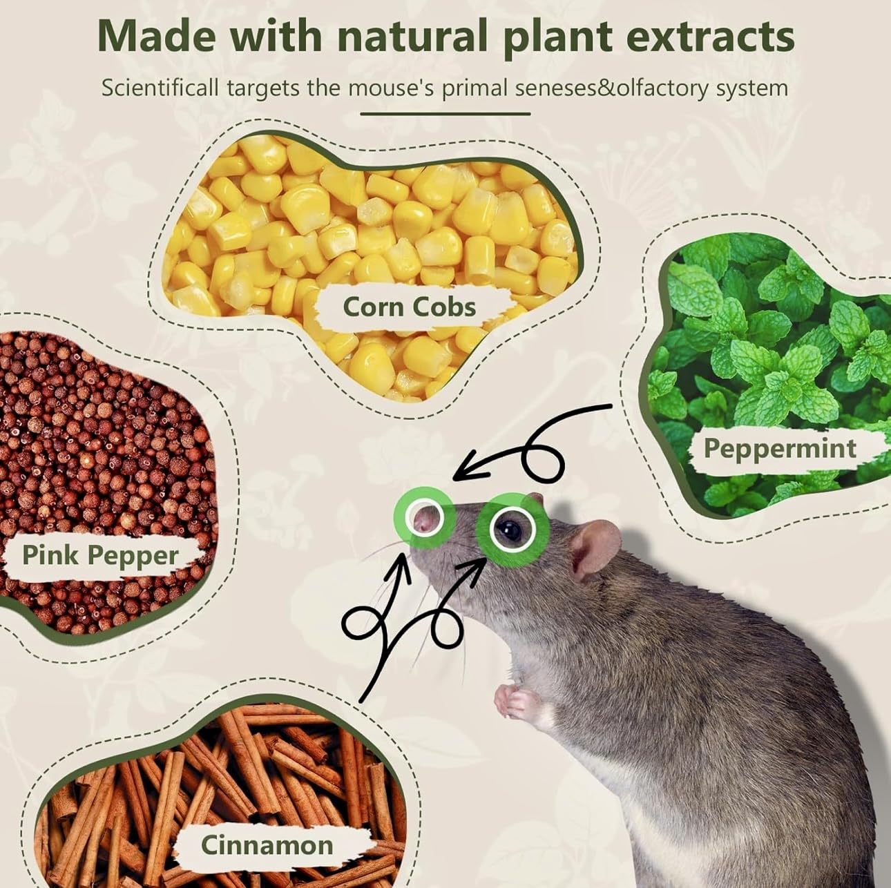 Omega™ Natural Peppermint Pest Repellent Balls in a 24-pack, with peppermint scent and pest-repelling properties, shown in a container.