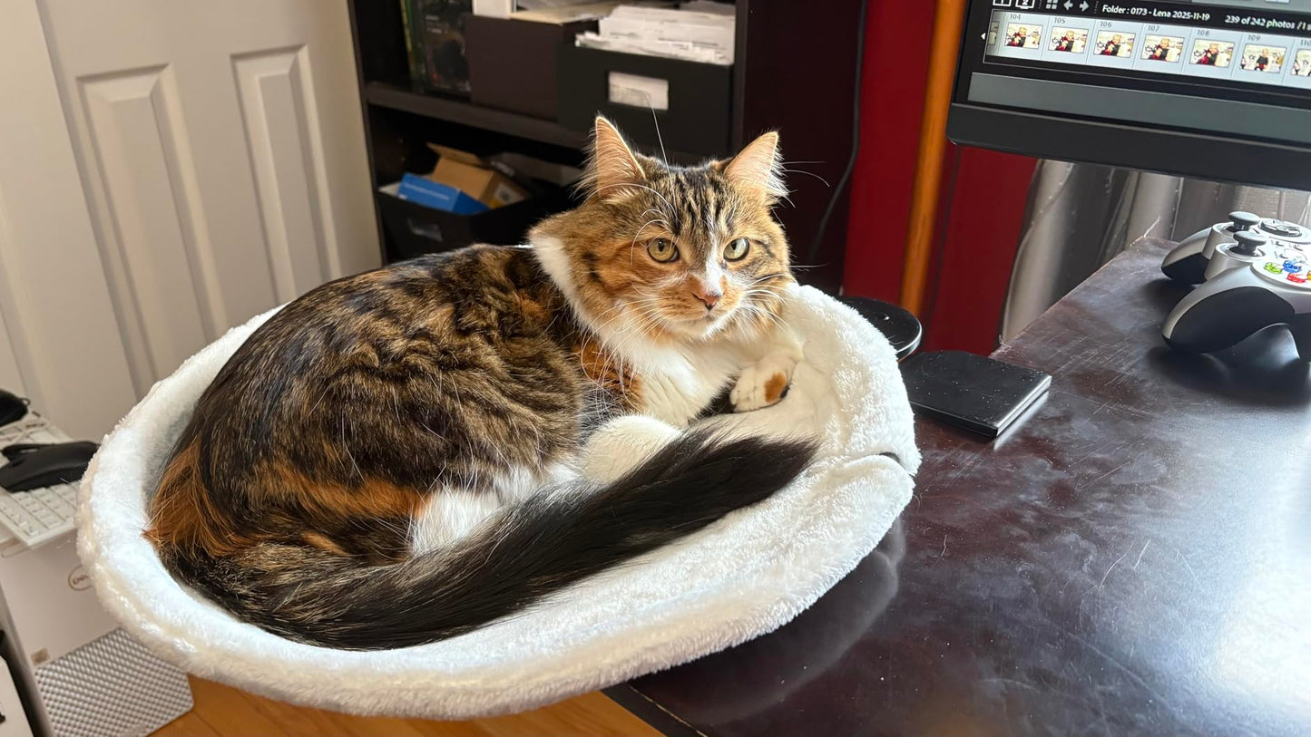 Christmas cat climbing frame with bed and desk, featuring multiple levels and cozy spots for feline play and relaxation.