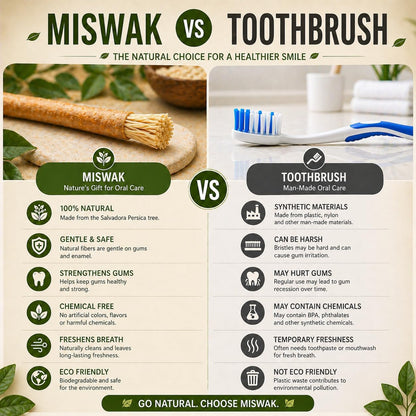Urbanomax™ Natural Miswak Toothbrush showing wooden handle and bristles, eco-friendly oral hygiene product by URBANOMAX.