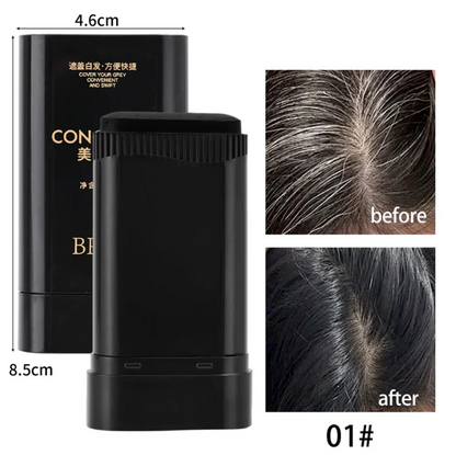 3 in1 Hair Dye Stick